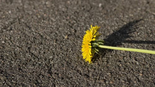 Maammekauppa - Suomalaiset tuotteet 40 Yksi tarina suomalaisesta valmistuksesta