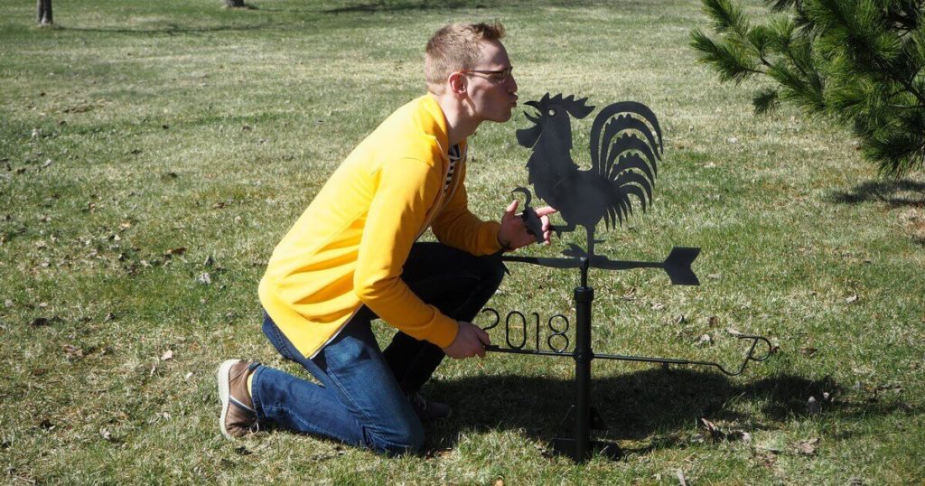 Maammekaupan kauppias ja kukko